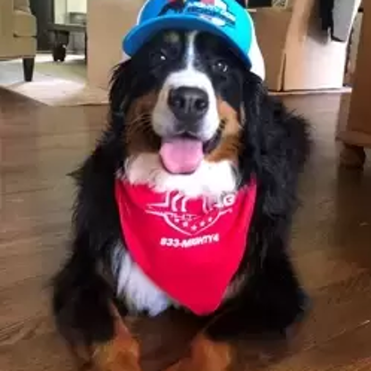 Foto del Everest "Evie