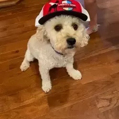 Lucky "The Terminator" Foto