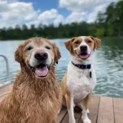 Raleigh & Cooper Photo