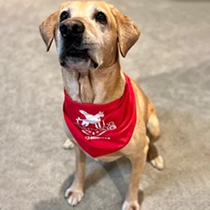 Foto de Maverick "Mavy" Goodson