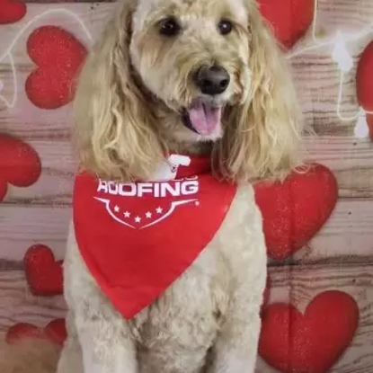 Foto de Mighty Morgan