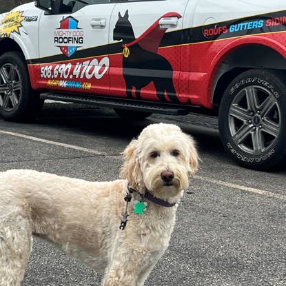 Foto de Margot "Mighty Dog" Smith