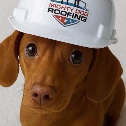 Finn Oliver Wigglebottom Foto