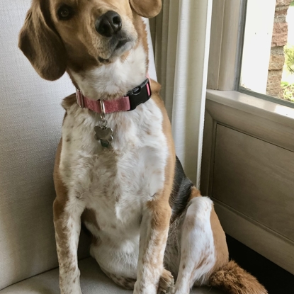 Foto de Mighty Eleanor