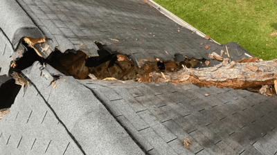 Daños por tormentas