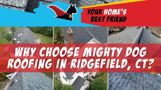 Beneficios de elegir Mighty Dog Roofing de Ridgefield CT