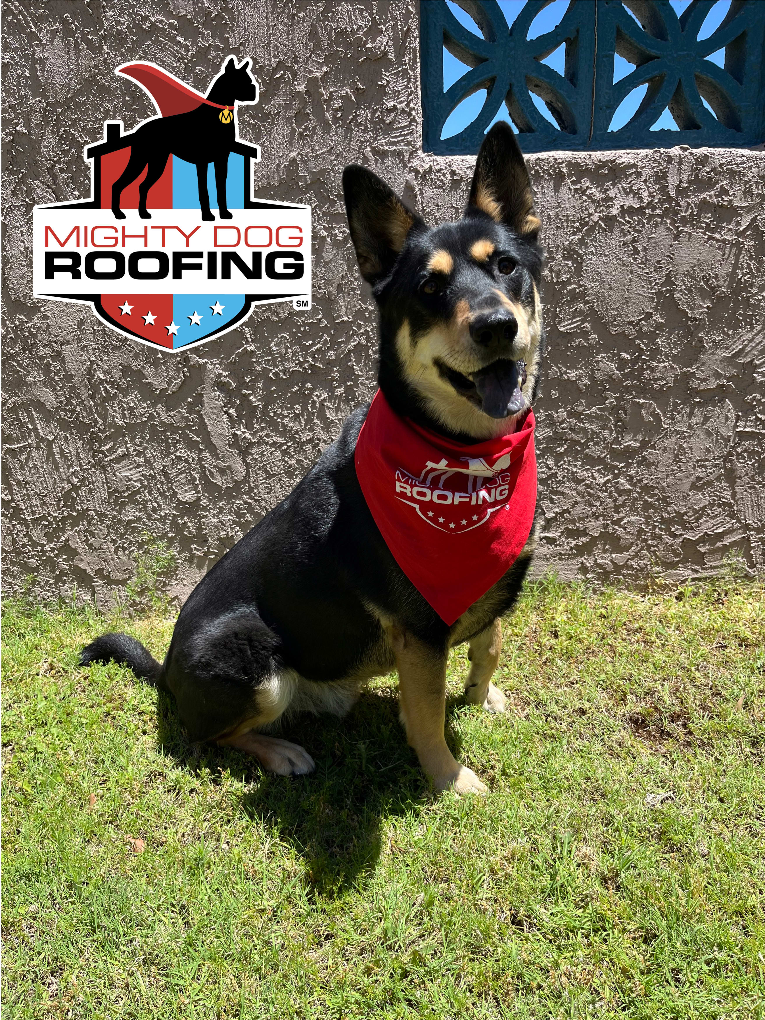 ¡Mighty Dog al rescate!