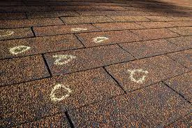 Hail damage on shingles on a Longmont, CO home near the St. Vrain corridor after a Front Range hailstorm