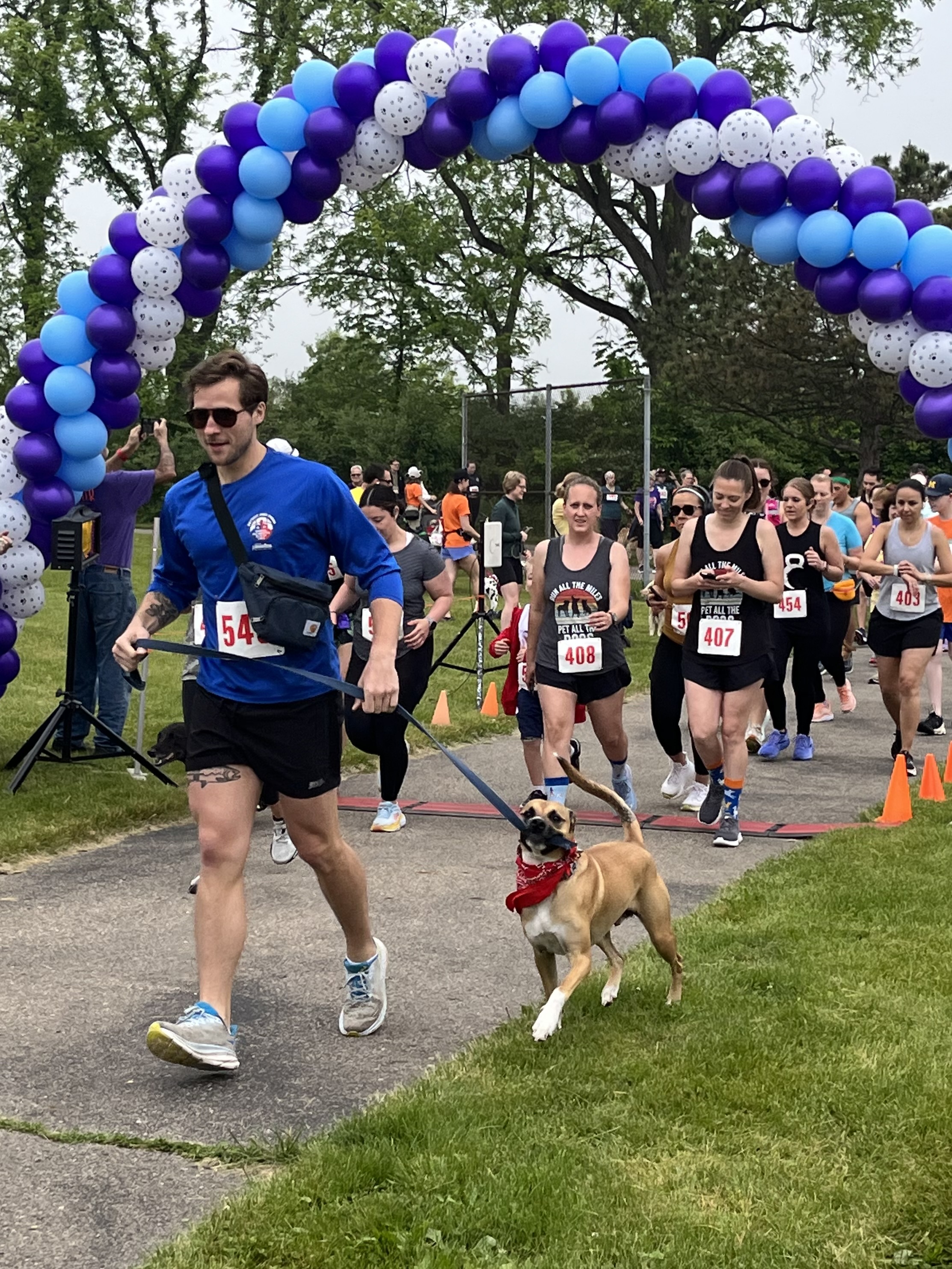 Walk and Wag 2024 Huron Valley Humane Society