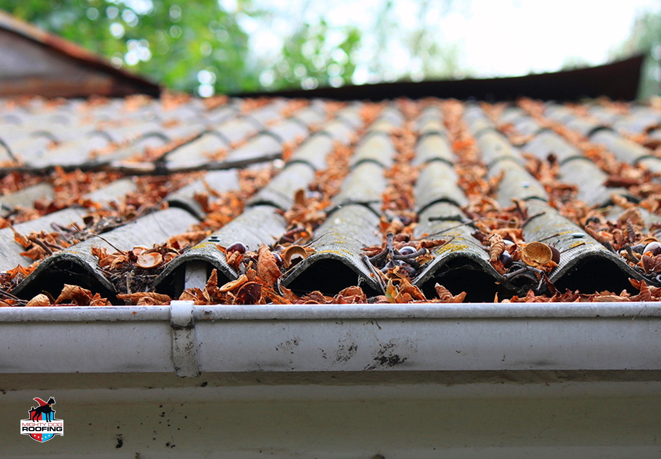 Un techador profesional realiza el mantenimiento del tejado