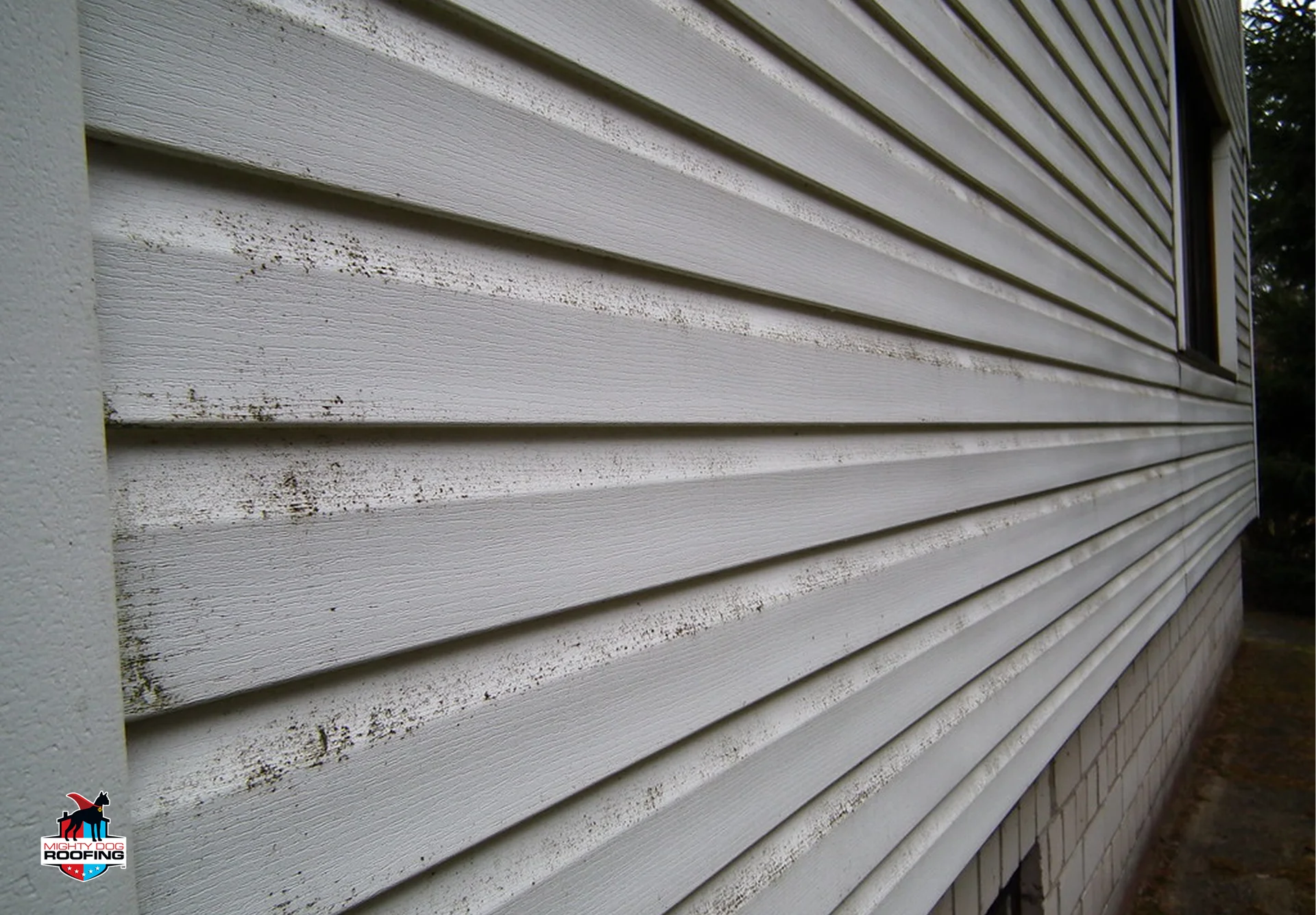 Siding installation after mold damage 